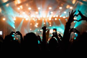 crowd at concert - summer music festival